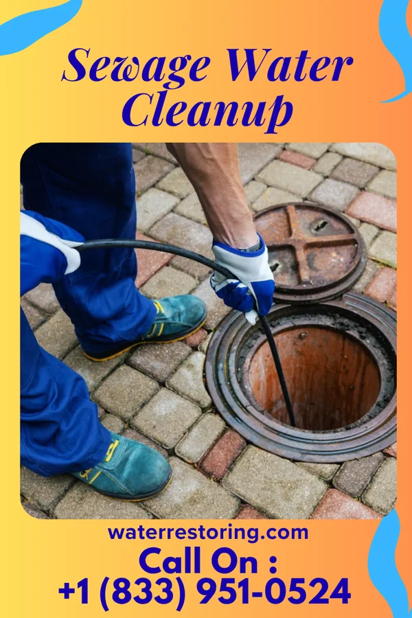 Sewage Water Cleanup in Johnston, IA